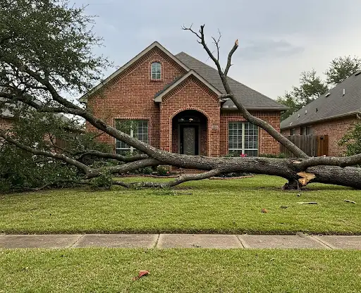 Large storm-damaged tree fallen across the front lawn of a brick home