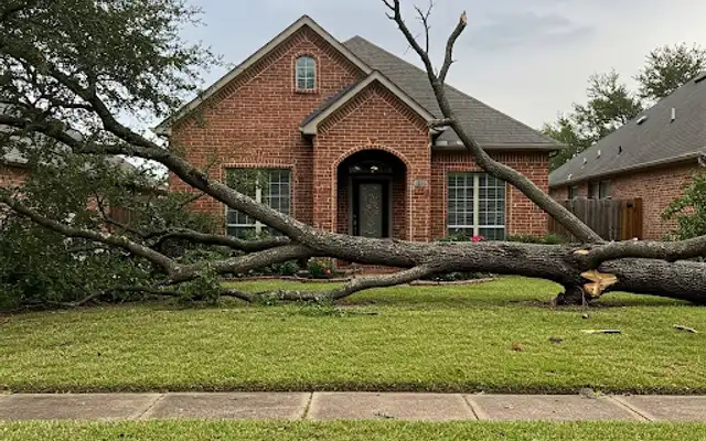 Storm-damaged tree lying across the front lawn of a brick house