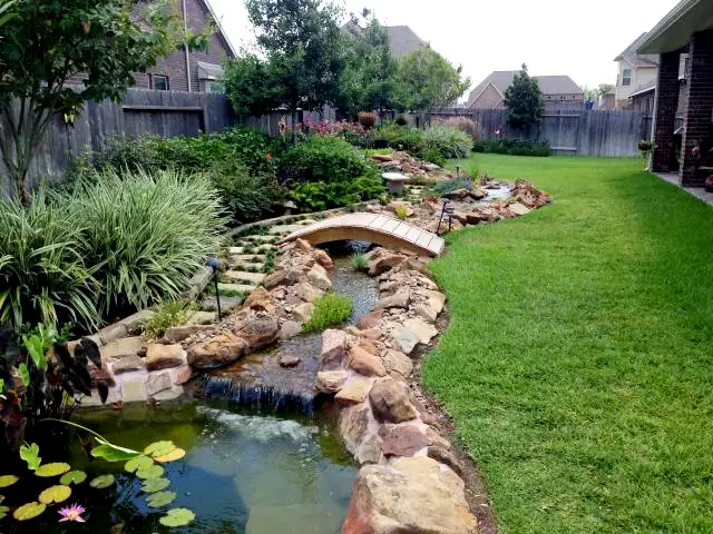 Backyard stream with a waterfall, arched wooden bridge and lily pond framed by plantings