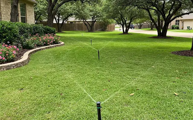 Pop-up sprinkler heads spraying a lawn under mature oak trees