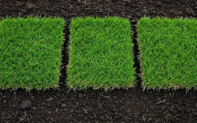 Three rectangular pieces of fresh sod laid side by side on dark soil